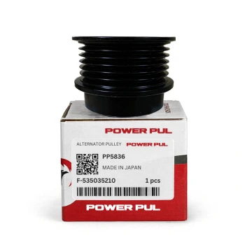 POLEA DE ALTERNADOR FORD FOCUS 2.0 6PK PP5836